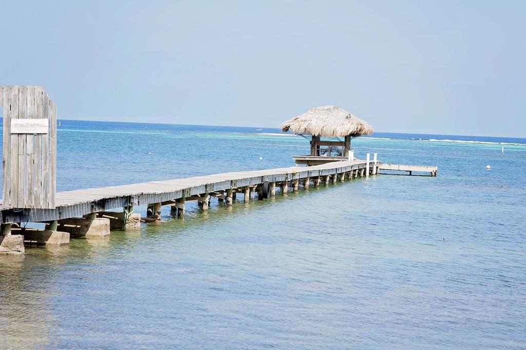 Blue Island Divers Casa Descanso Apartment Sandy Bay Luaran gambar