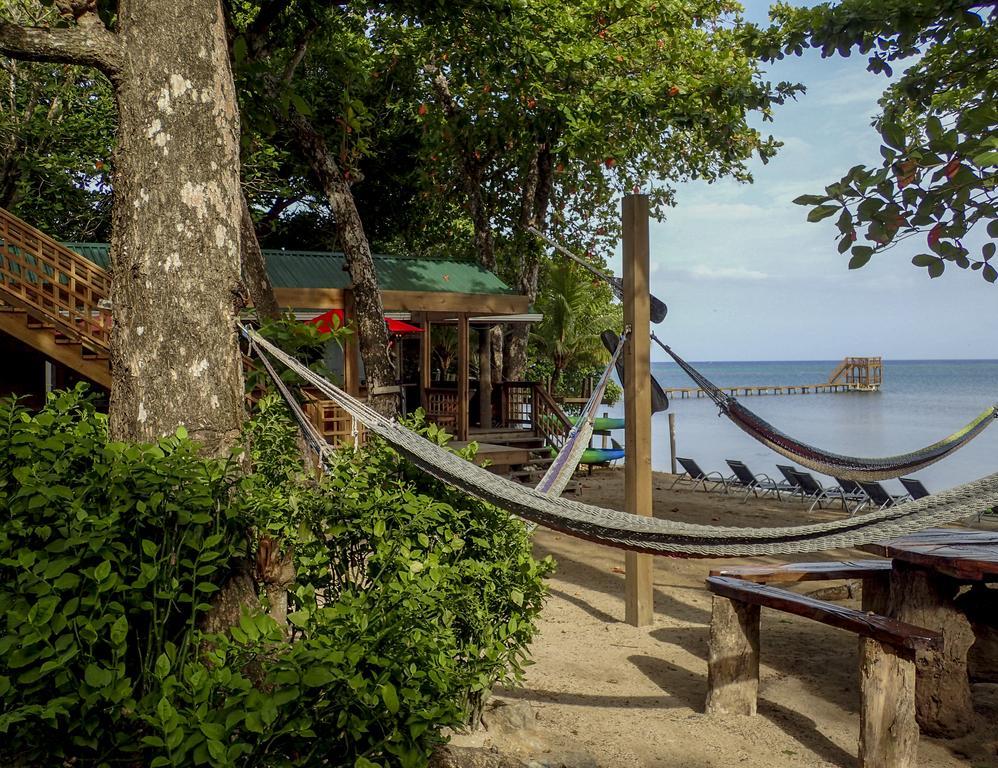 Blue Island Divers Casa Descanso Apartment Sandy Bay Luaran gambar