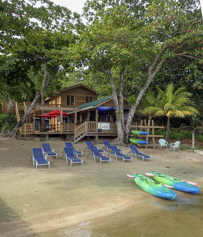 Blue Island Divers Casa Descanso Apartment Sandy Bay Luaran gambar